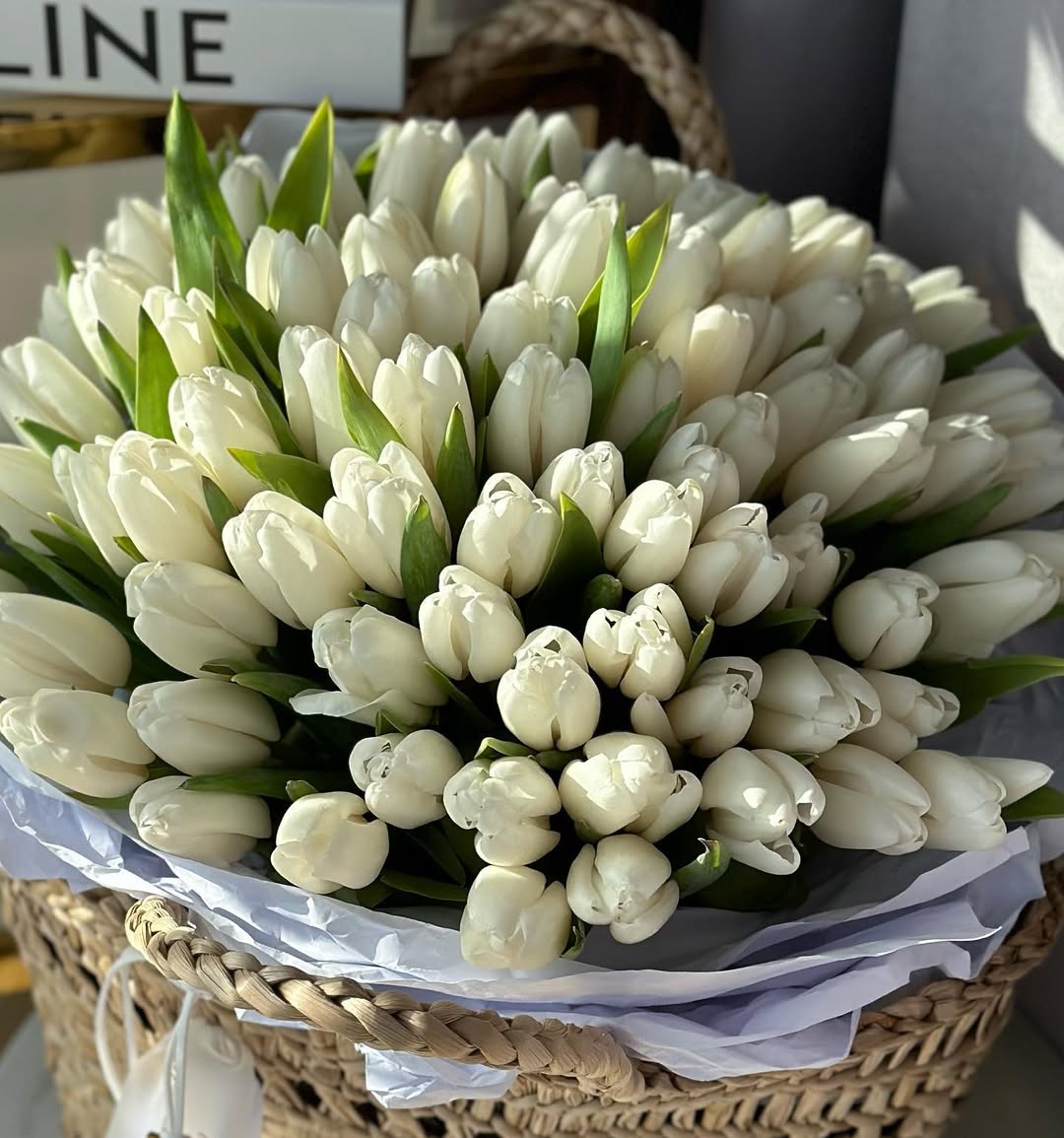 White Cadence